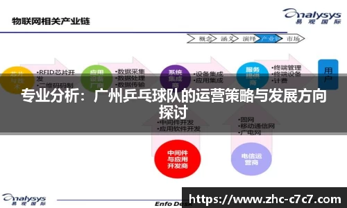 专业分析:广州乒乓球队的运营策略与发展方向探讨